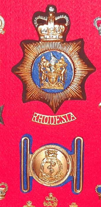 VERY HOT Super cool Set of Replica Rhodesian Insignia.