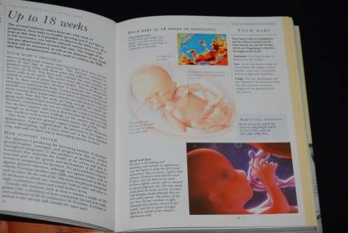 DK CONCEPTION, PREGNANCY AND BIRTH