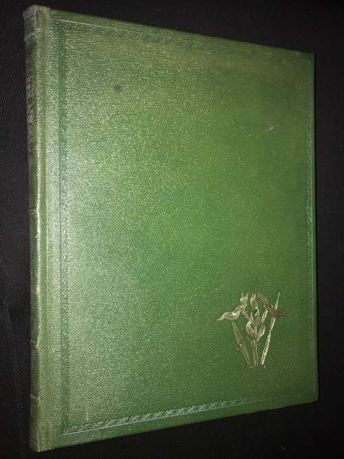 WESTERN CAPE SANDVELD FLOWERS BY HILDA MASON 1972 NUMBERED AND SIGNED