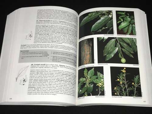 TREES AND SHRUBS OF MPUMALANGA AND KRUGER NATIONAL PARK