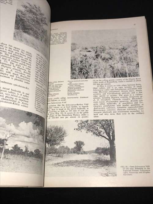 VELD TYPES OF SOUTH AFRICA - J.P.H. ADCOCKS MEMOIRS OF THE BOTANICAL SURVEY OF SOUTH AFRICA