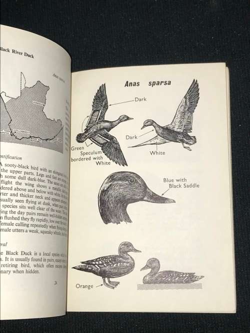 WATERFOWL OF THE CAPE PROVINCE A GUIDE FOR HUNTER`S AND NATURALISTS
