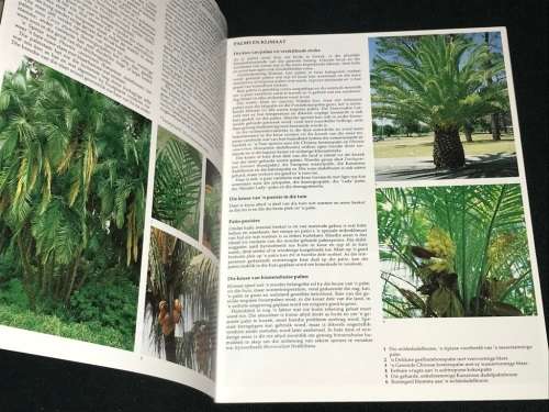PALMS VIR DIE SUID - AFRIKAANSE HUIS EN TUIN DEUR JENNIFER SIMPSON