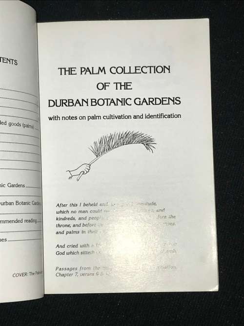 THE PALM COLLECTION OF THE DURBAN BOTANICAL GARDENS BY ANN LAMBERT