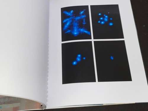 TAMMY GRIFFIN BIO PORTFOLIO WITH DVD