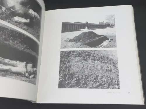 ANTON KARSTEL PAINTINGS AND PHOTOGRAPHIC INSTALLATIONS (1989 - 2009)