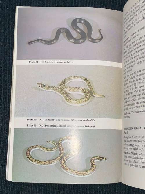 SNAKES OF RHODESIA BY D.G. BROADLEY AND E.V. COCK - BUNDU SERIES
