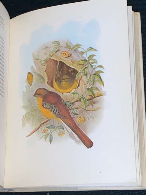 BIRDS OF ASIA BY JOHN GOULD AND A. RUTGERS