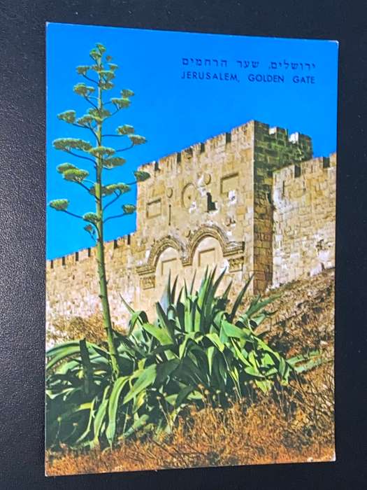 VINTAGE GOLDEN GATE JERUSALEM ISRAEL POSTCARD