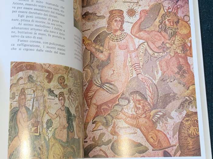 PIAZZA ARMERINA I MOSAICI