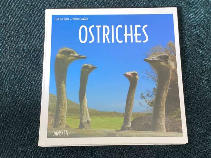 OSTRICHES BY CECILIA COELLE + VOLKER JANSSEN