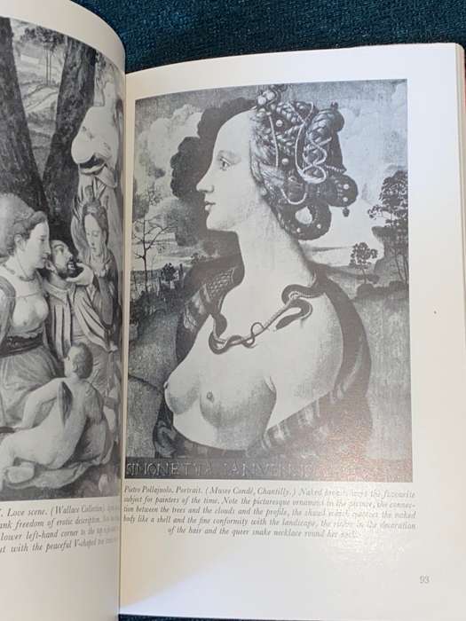 LOVE`S PICTURE BOOK THE HISTORY OF PLEASURE AND MORAL INDIGNATION BY OVE BRUSENDORFF