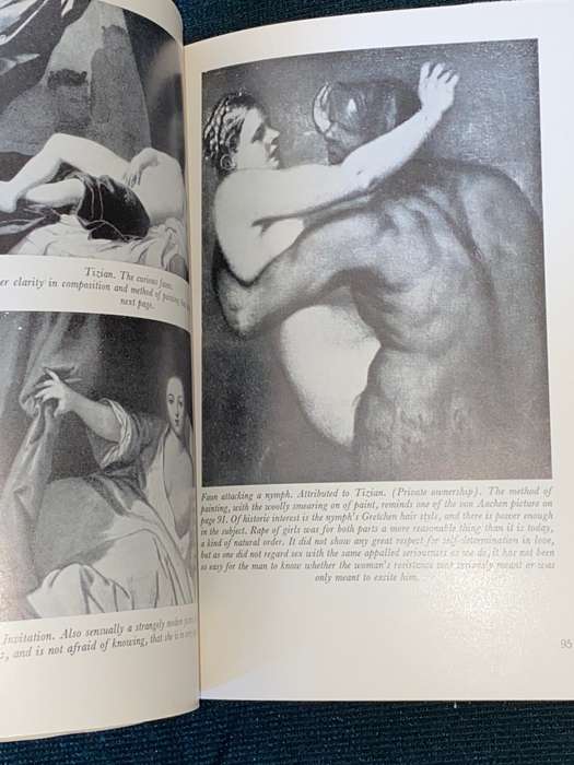 LOVE`S PICTURE BOOK THE HISTORY OF PLEASURE AND MORAL INDIGNATION BY OVE BRUSENDORFF