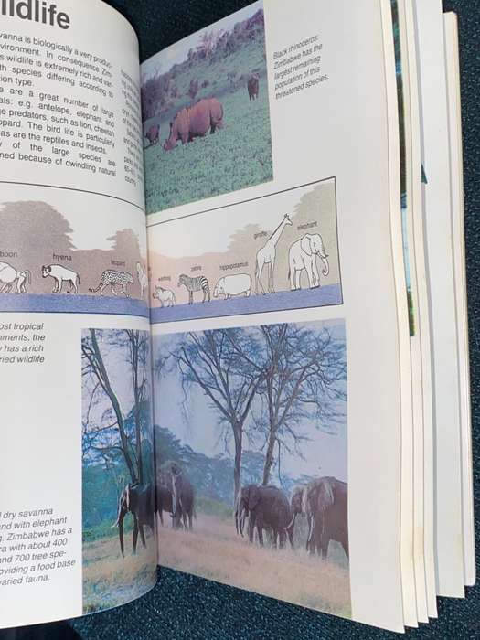 A VINTAGE GUIDE TO ZIMBABWE