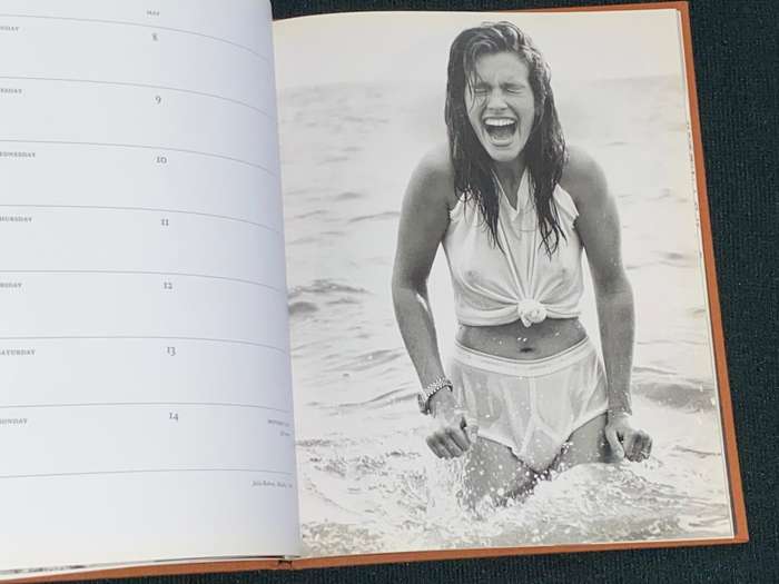 HERB TITTS CALENDAR 1995