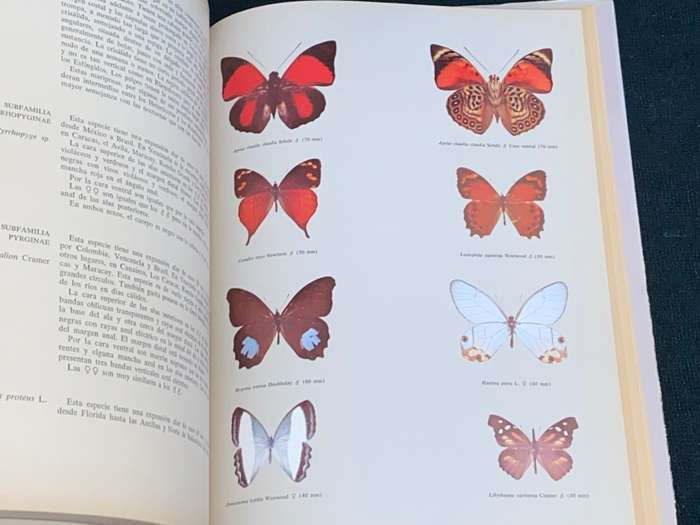 MARIPOSAS DIURNAS DE VENEZUELA