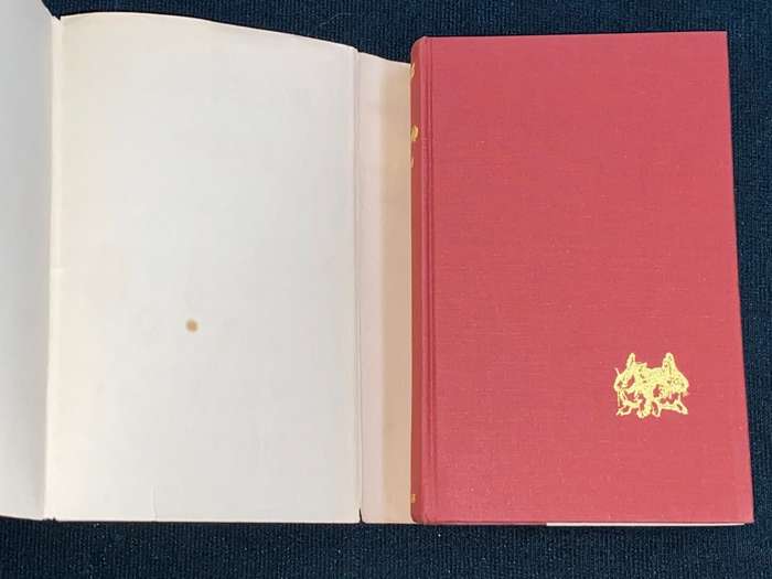 WATERSHIP DOWN BY RICHARD ADAMS 1973