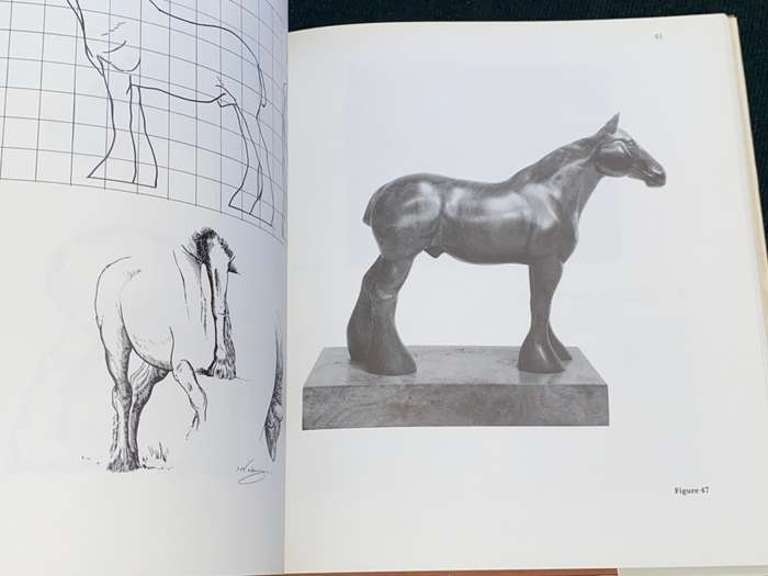 PROJECTS FOR CREATIVE WOODCARVING BY IAN NORBURY SIGNED