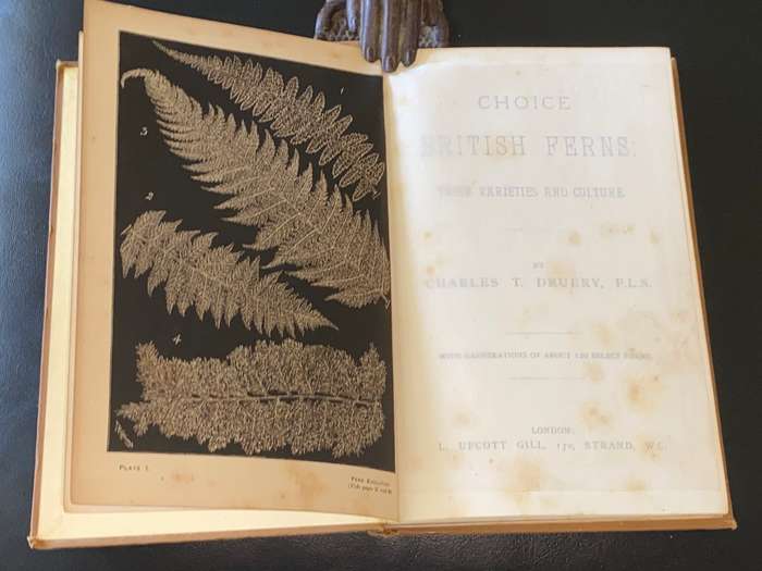 CHOICE BRITISH FERNS THEIR VARIETIES AND CULTURE BY CHARLES T. DRUERY 1890`S