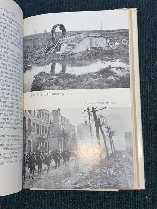 IN FLANDERS FIELDS BY LEON WOLFF