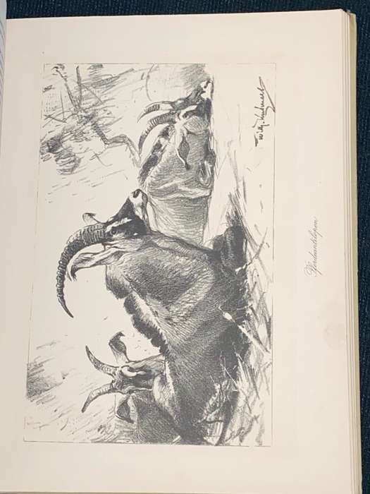 IM LANDE MEINER MODELLE VON WILHELM KUHNERT 1923