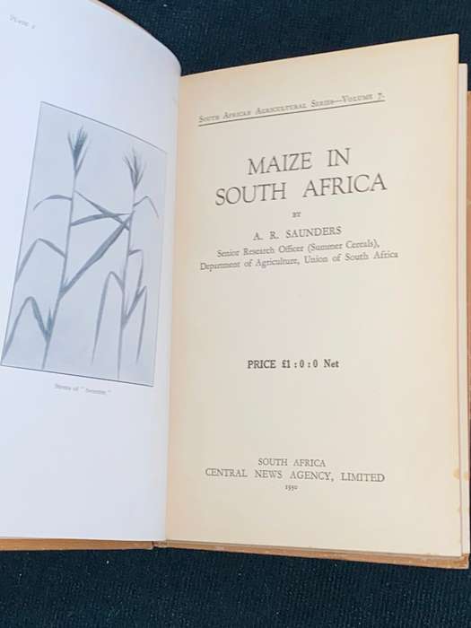 MAIZE IN SOUTH AFRICA BY A.R. SAUNDERS 1930 S.A. AGRICULTURAL SERIES