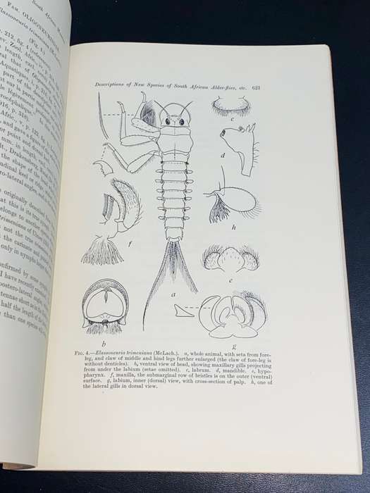 ANNALS OF THE SOUTH AFRICAN MUSEUM VOLUME XXXII AUGUST 1940