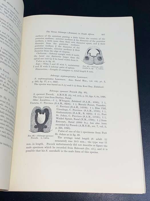 ANNALS OF THE SOUTH AFRICAN MUSEUM VOLUME XXXII AUGUST 1940