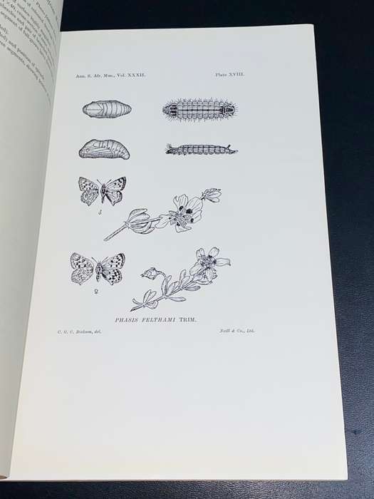 ANNALS OF THE SOUTH AFRICAN MUSEUM VOLUME XXXII AUGUST 1940