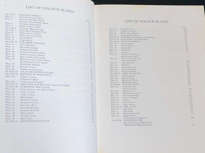 CALBURN`S BIRDS OF SOUTHERN AFRICA