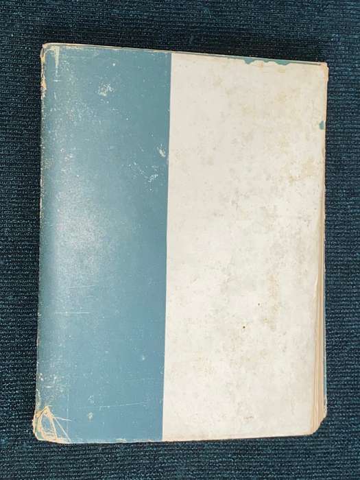 TWEE BLYSPELE DEUR H.A. FAGAN