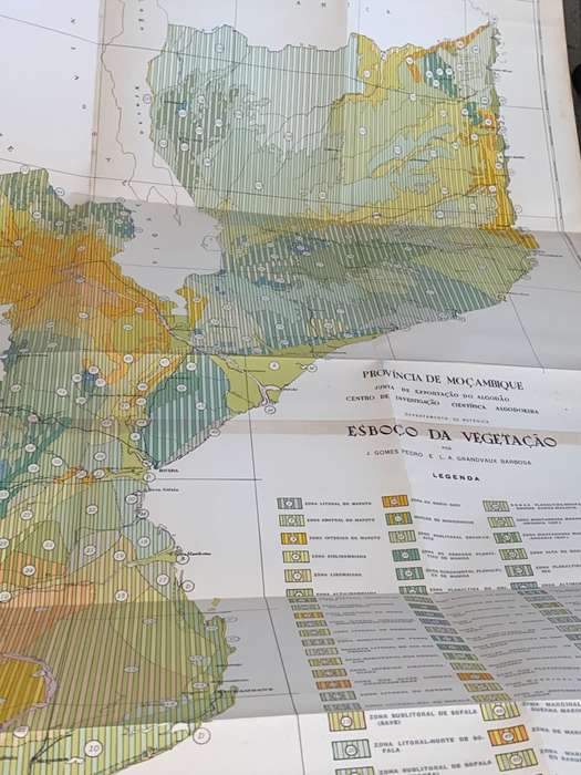 ESBOCO DO RECONHECIMENTO ECOLOGICO AGRICOLA DE MOCAMBIQUE 2 VOL