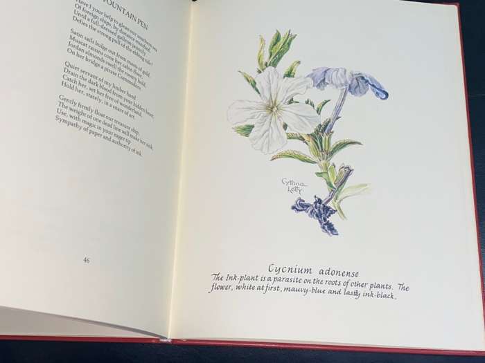 CHILDREN OF THE HOURS BY CYNTHIA LETTY SIGNED LIMITED EDITION IN FULL LEATHER 18/100