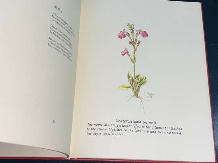 CHILDREN OF THE HOURS BY CYNTHIA LETTY SIGNED LIMITED EDITION IN FULL LEATHER 18/100
