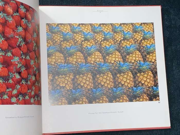 3-D PLANET THE WORLD AS SEEN THROUGH STEREOGRAMS BY HIROSHI KUNOH & EIJI TAKAOKI