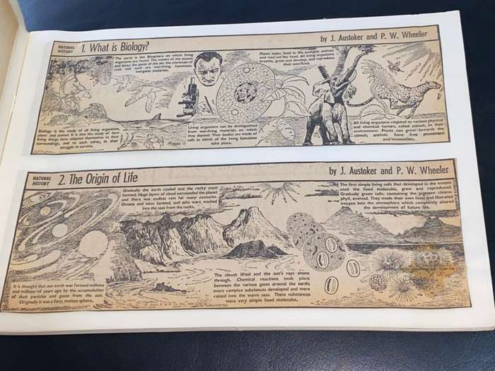 NATURAL HISTORY IN PICTURES AS PUBLISHED IN THE CAPE ARGUS