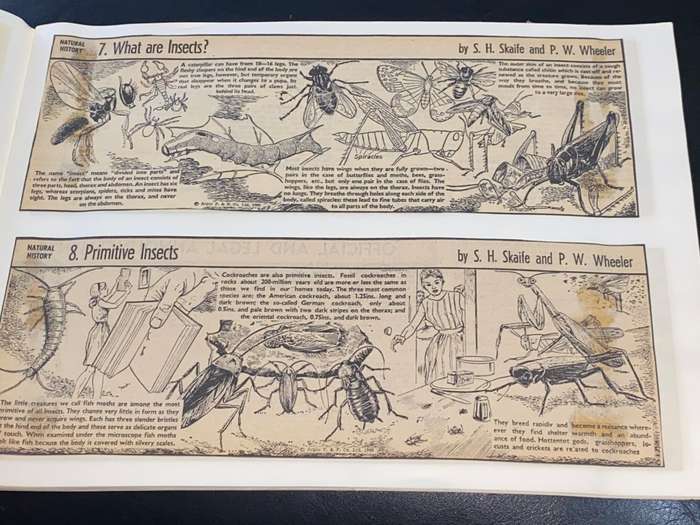 NATURAL HISTORY IN PICTURES AS PUBLISHED IN THE CAPE ARGUS