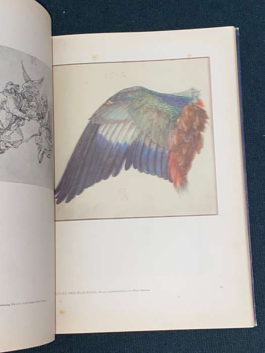 DURER ALS ZEICHNER DIE BLAUEN BUCHER