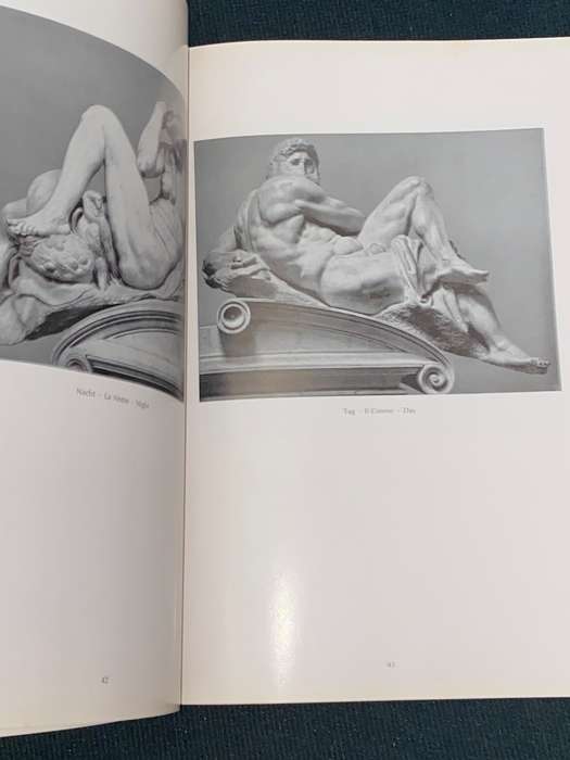 MICHELANGELO DIE BLAUEN BUCHER