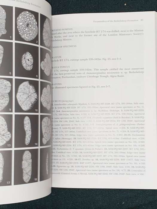 THE FORAMINIFERA OF THE PORTLANDIAN (LATE JURASSIC) BETHELSDORP FORMATION OF THE ONSHORE ALGOA BASIN