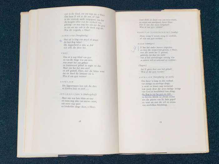 DIE DIEPER REG DEUR N.P. VAN WYK LOUW