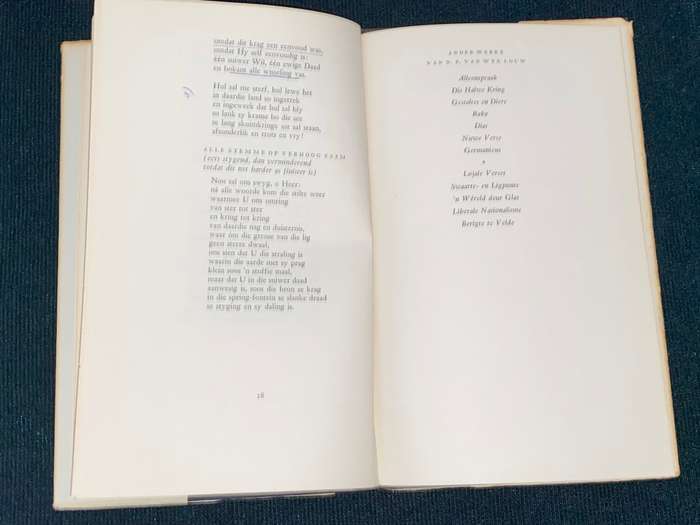 DIE DIEPER REG DEUR N.P. VAN WYK LOUW
