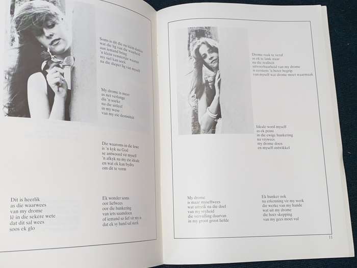 DROME VAN DIE JONGMEISIE DEUR DONALD W. RIEKERT
