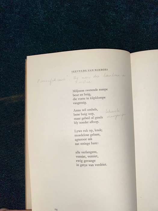 DOLOSSE DEUR D.J. OPPERMAN 1963