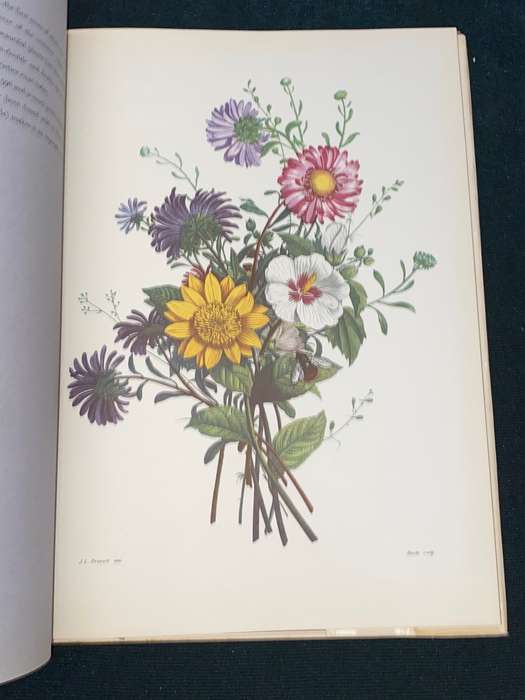 BOUQUETS JEAN LOUIS PREVOST 1760-1810