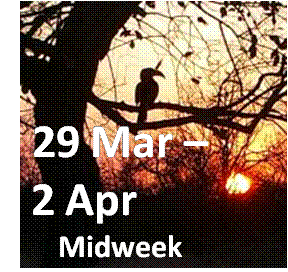 Hoedspruit midweek   -   8 person lodge