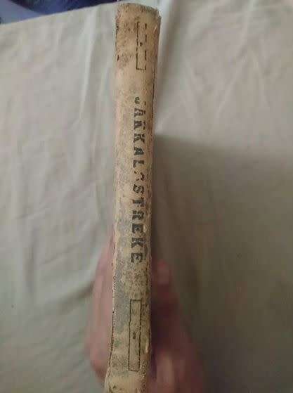 SKAARS jakkalsstreke n vrye vertaling van Reinhart de Vos deur p. A. M. Brink 1922