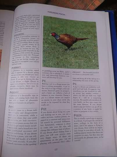 THE ILLUSTRATED ENCYCLOPEDIA OF DREAMS