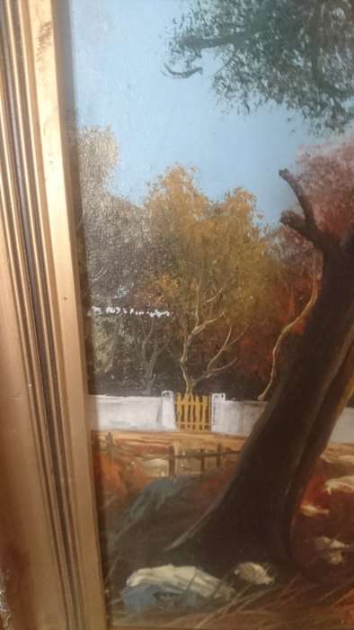 Lovely P.Wise framed oil on board,signed bottom right  A LISTED ARTIST 49cm x 59cm