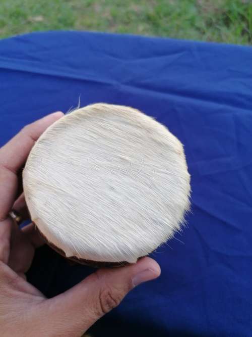 Minature drum
